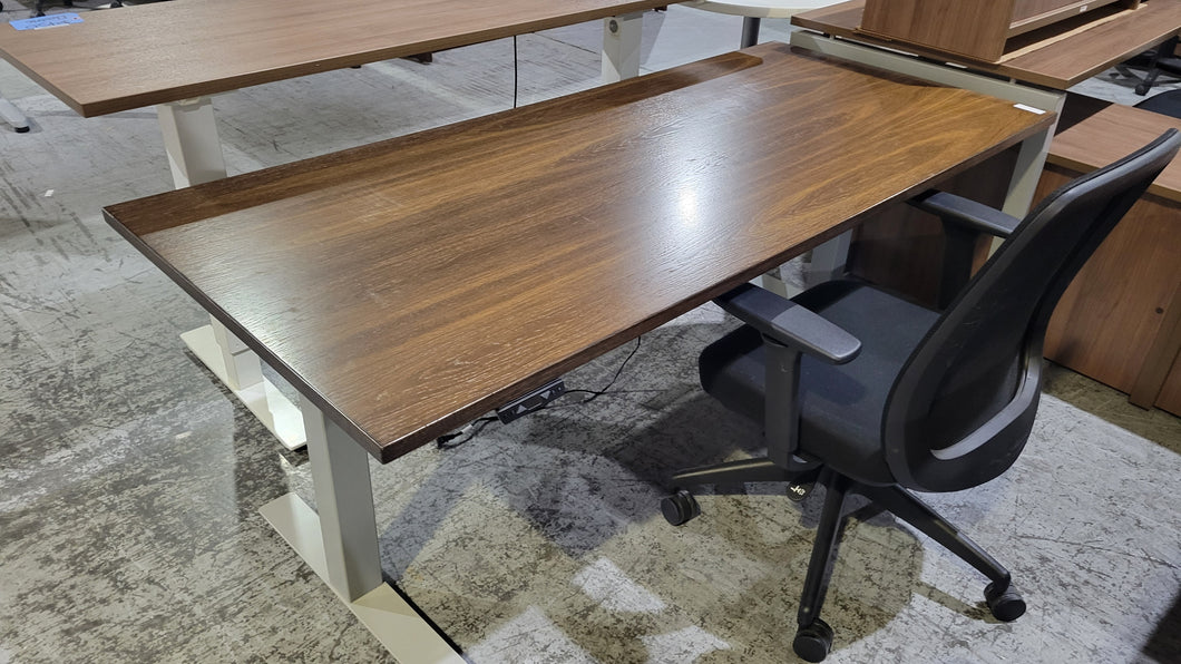 Textured Oak Sit-Stand Electric Desk